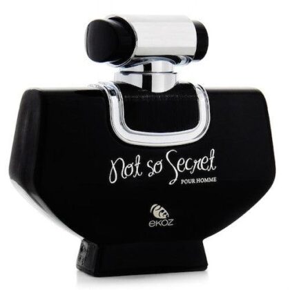 Afnan Not So Secret 100ml EDP Perfume for Men